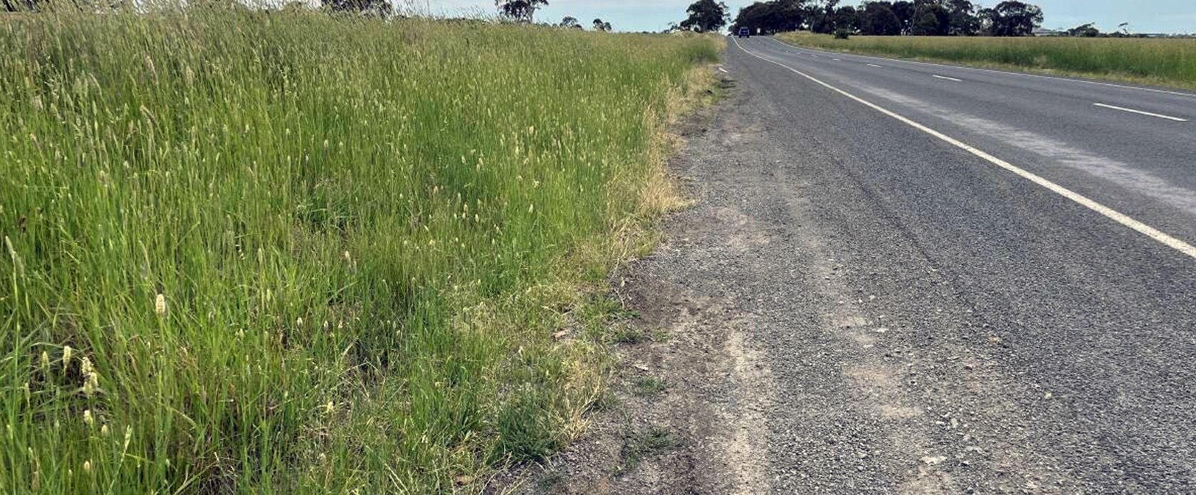 Choosing the Best Mulcher for Municipal Vegetation Control