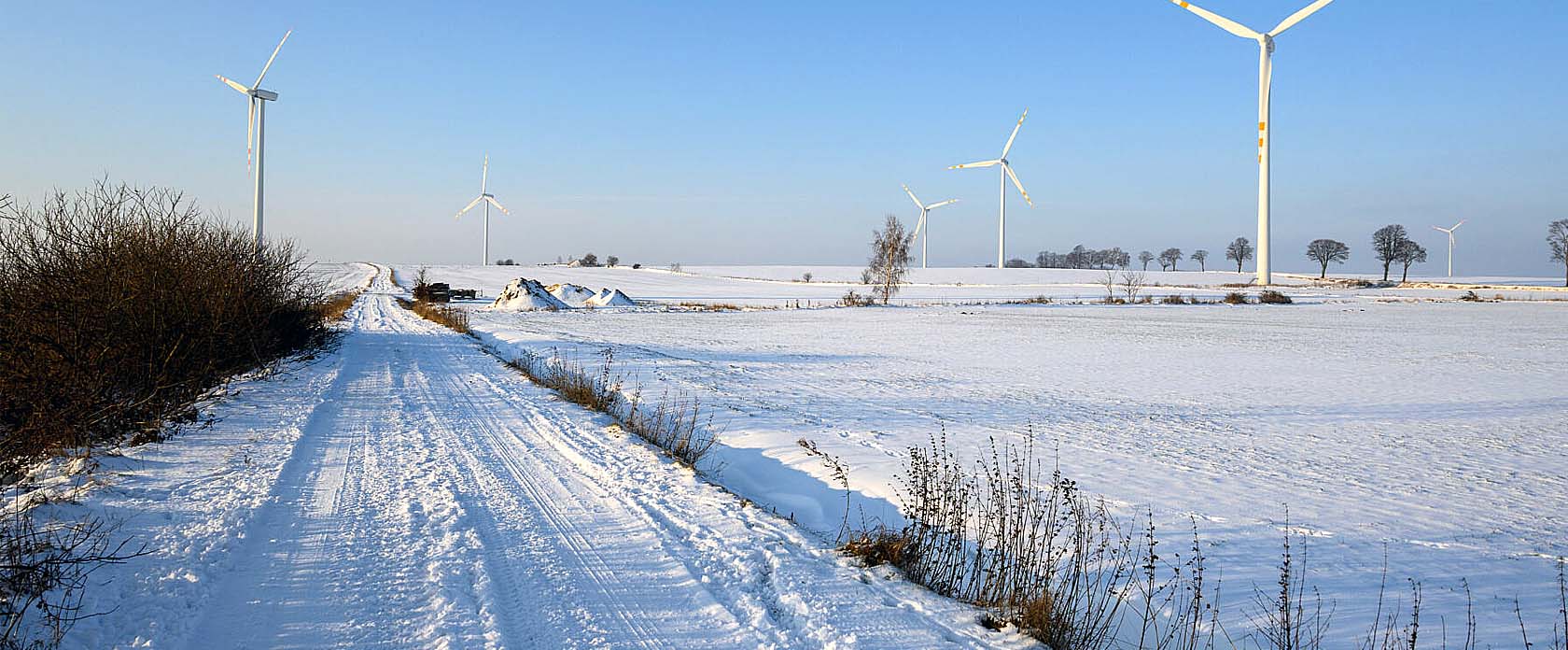 Municipal Snow Wing Procurement for Reliable Winter Fleets