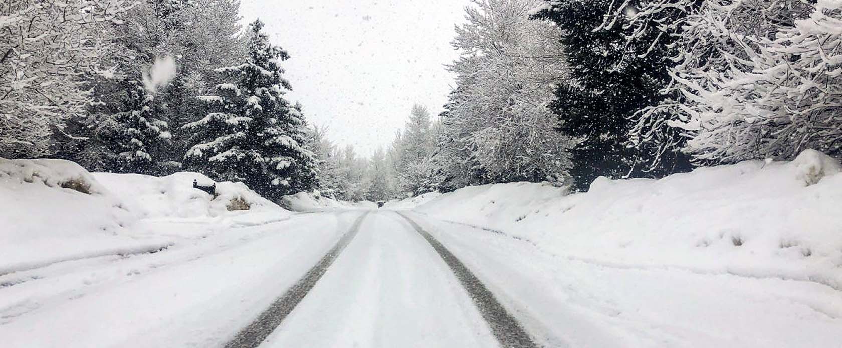 One-Way Speed Plow Procurement for Municipal Fleets