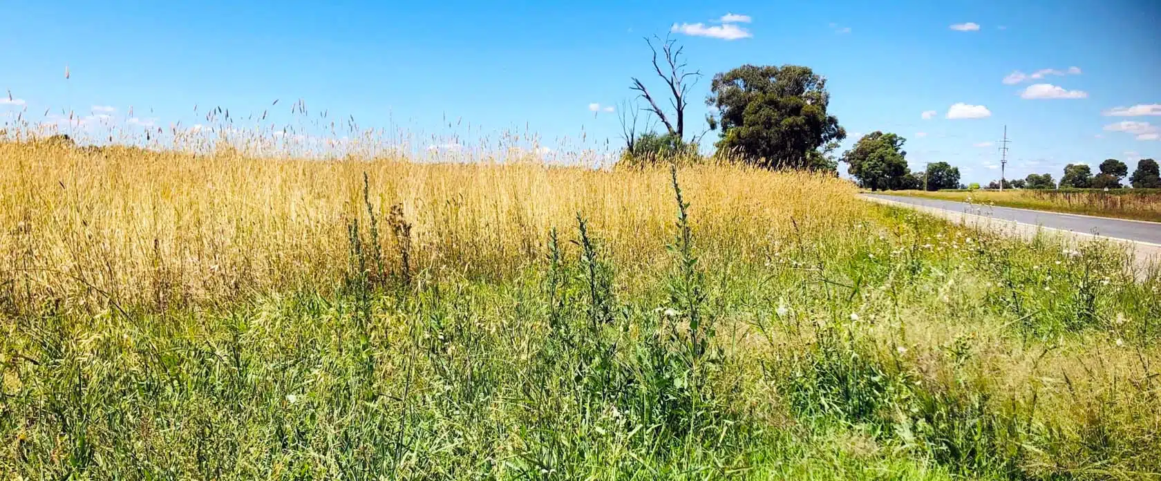 Municipal Wing-Mounted Mower for Efficient Vegetation Control