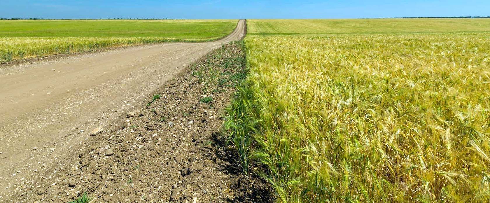 Municipal Mower Lifecycle Value in Roadside Maintenance