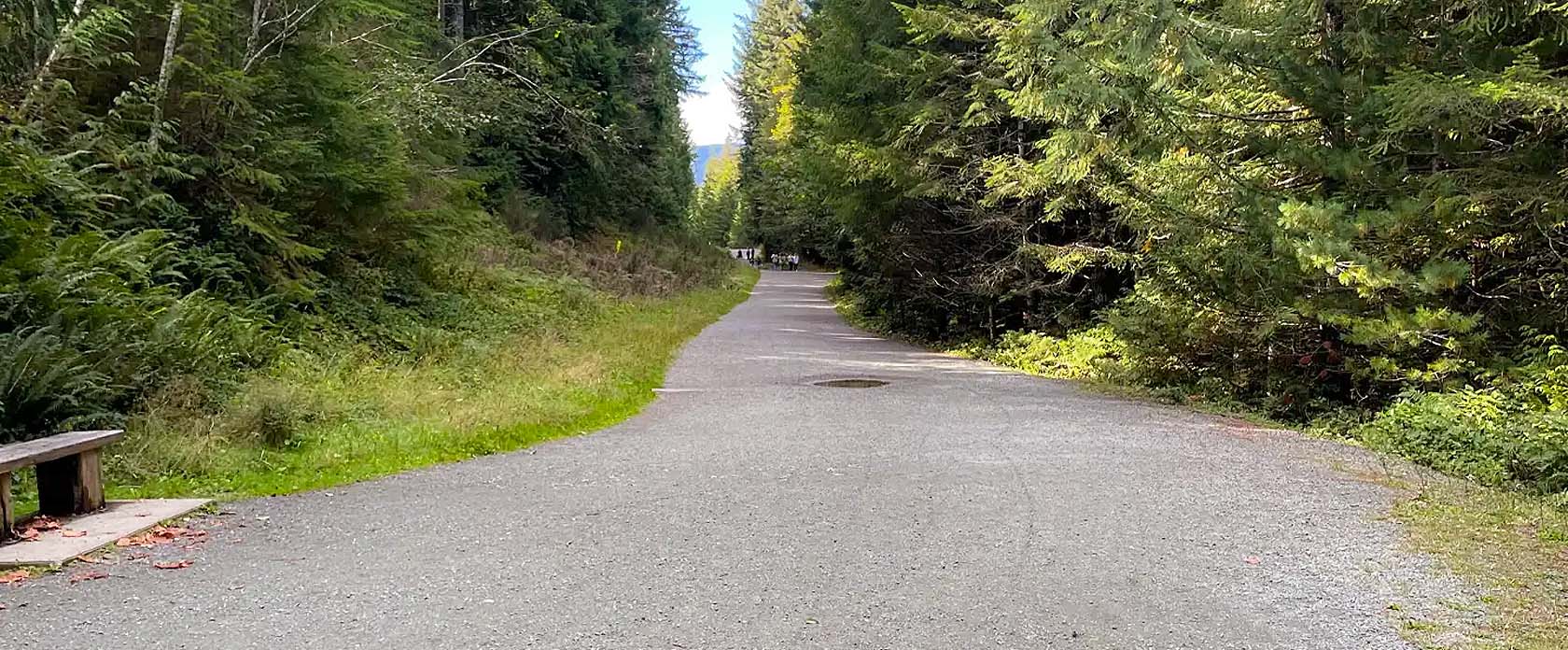 Choosing the Right Equipment for Small-Scale Road Work